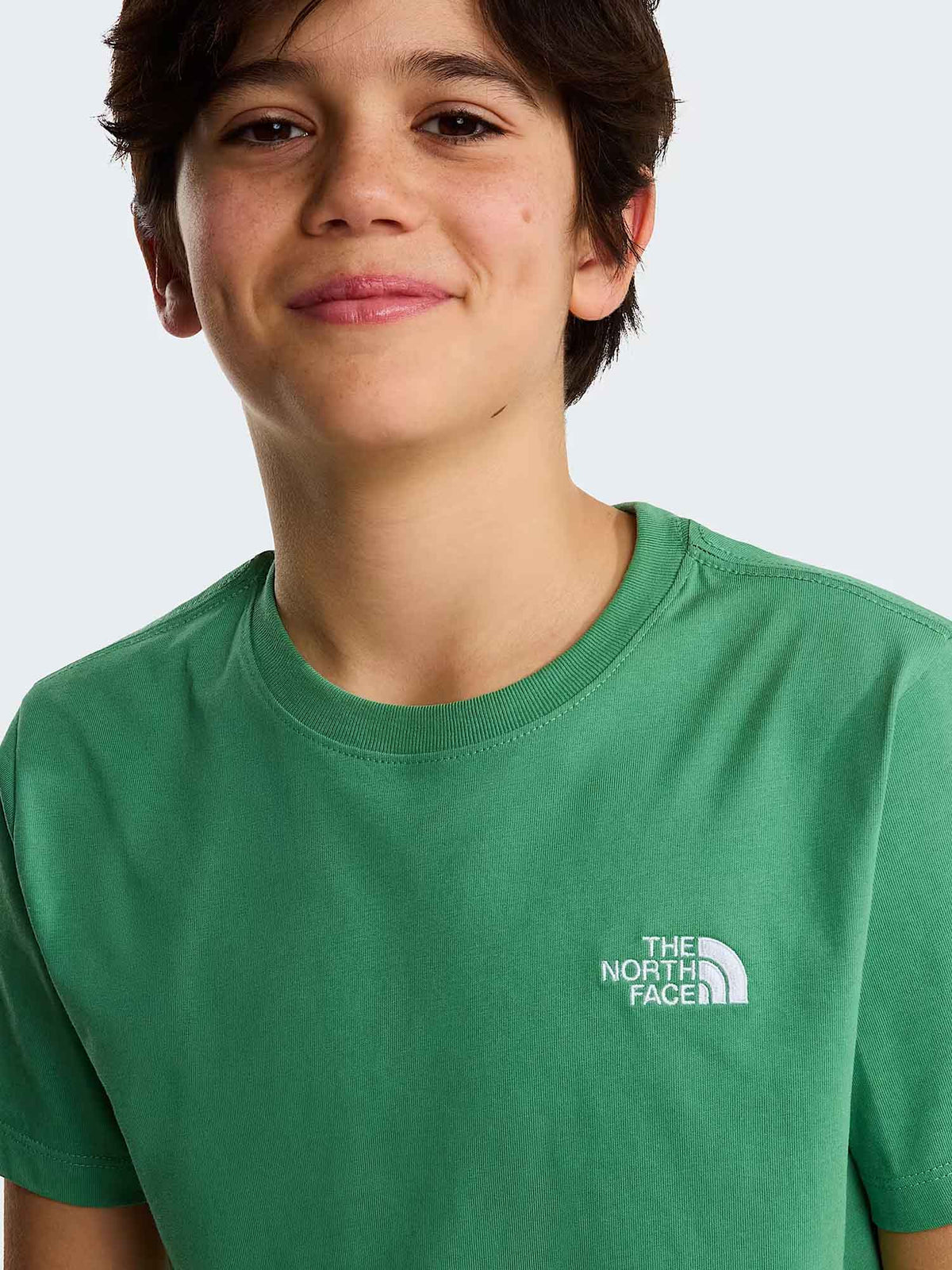 Tnf evolution simple t-shirt da bambino/a verde