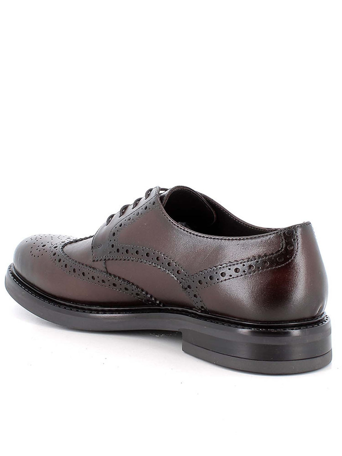 Igi&co dylan stringata da uomo marrone