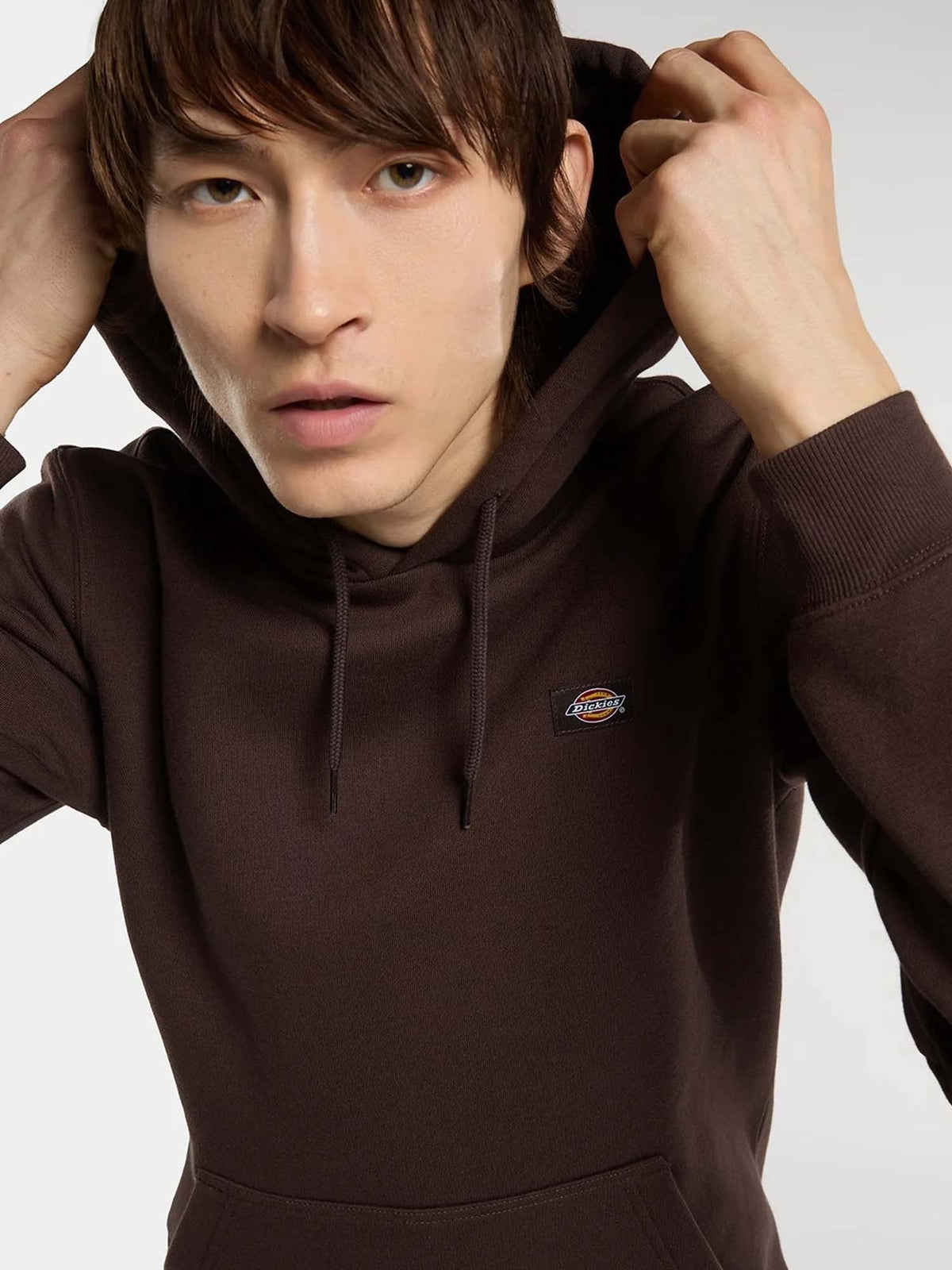 Dickies oakport hood felpa da uomo marrone
