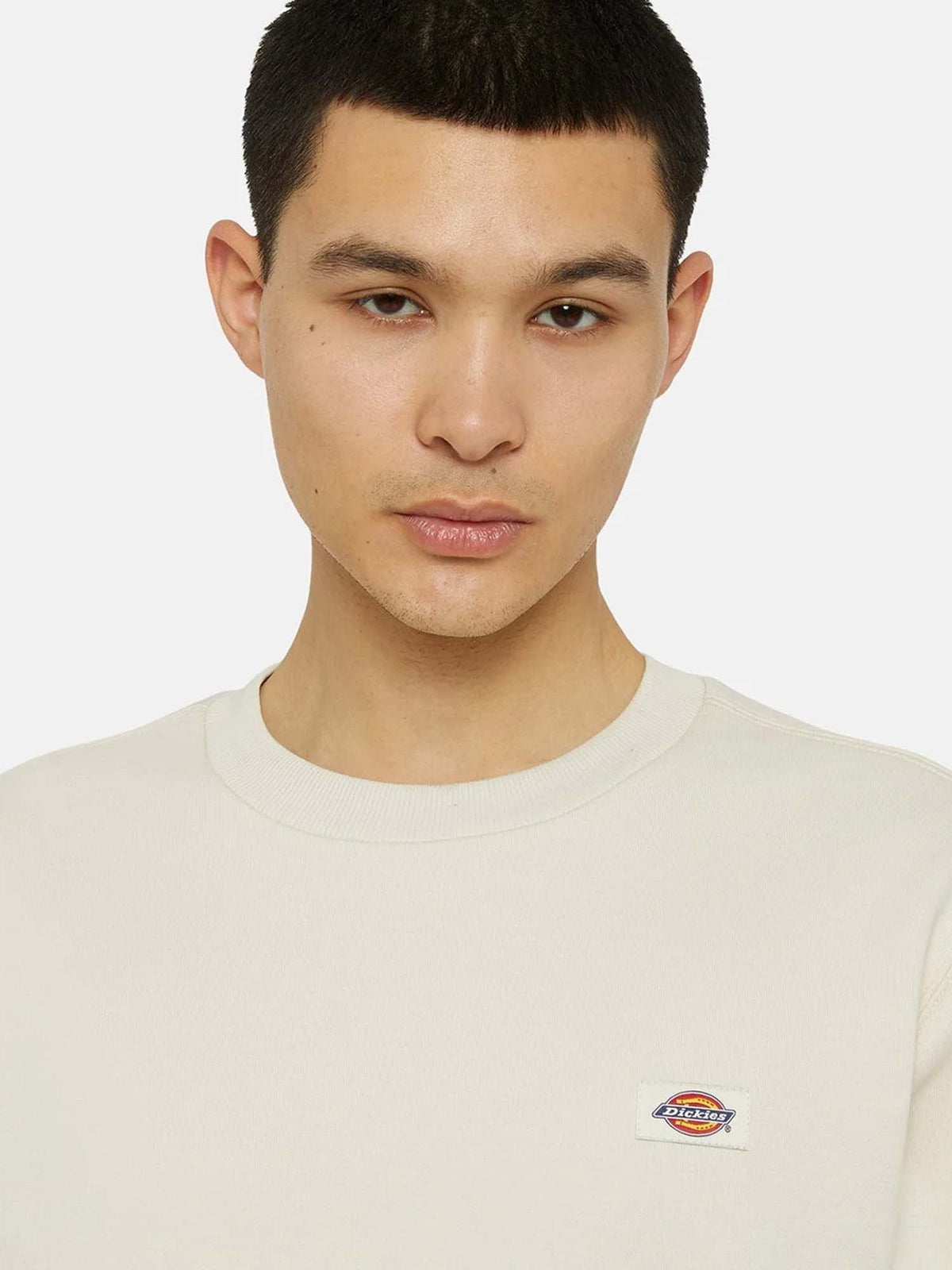 Dickies oakport crew felpa da uomo panna