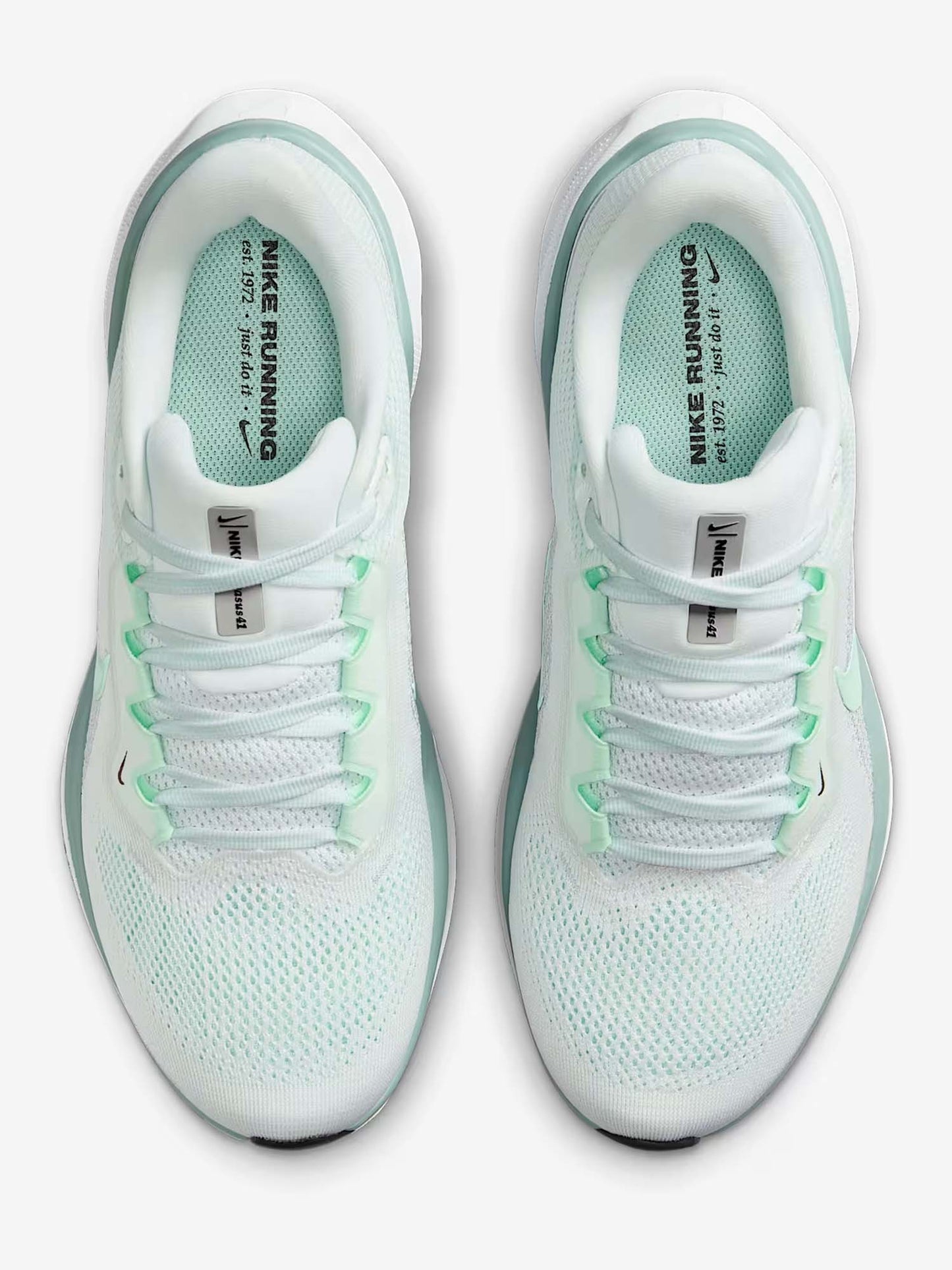 NIKE PEGASUS 41