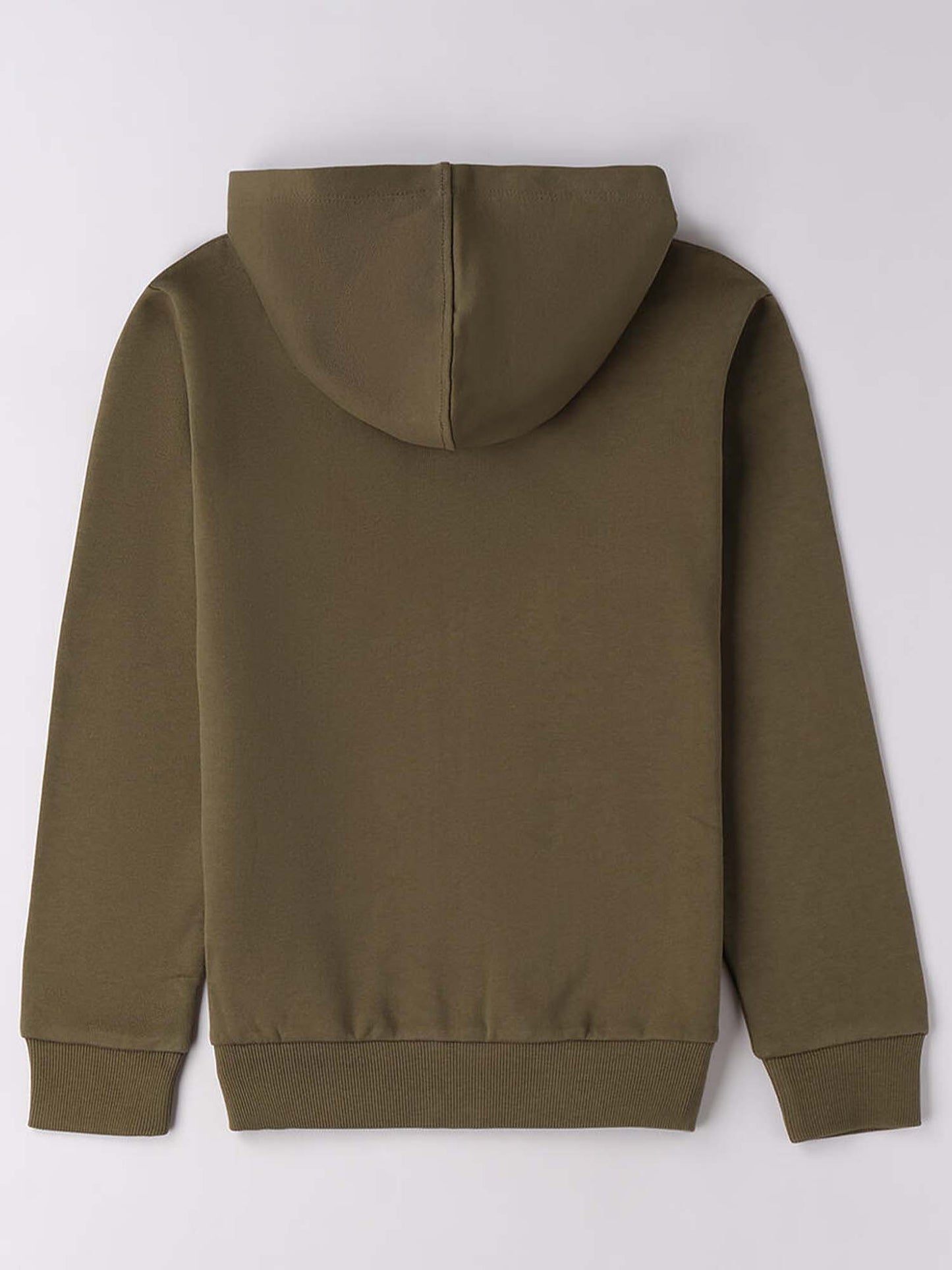 FELPA CON CAPPUCCIO BTS iDO DA RAGAZZO VERDE