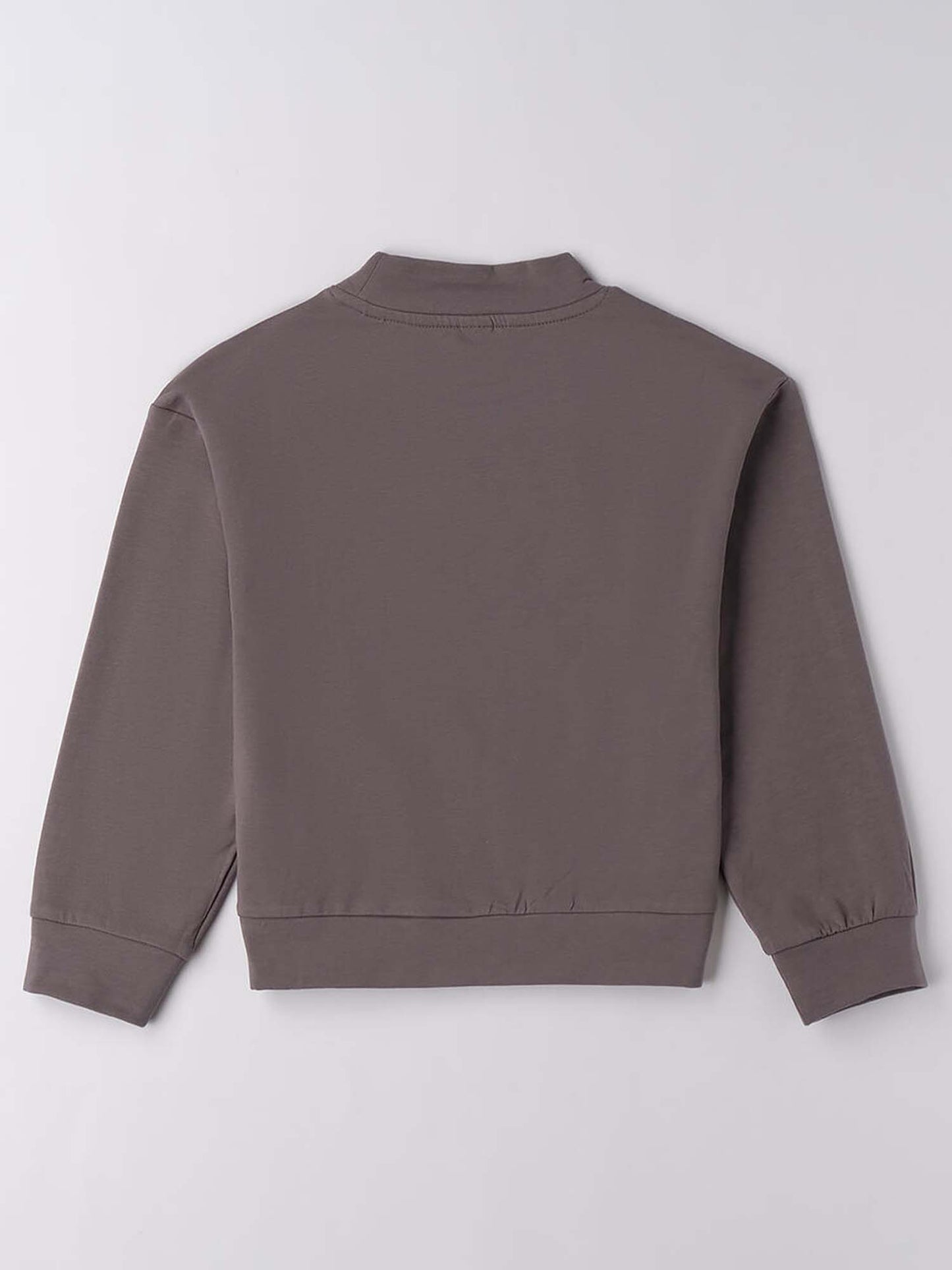 FELPA LUPETTO BTS iDO DA RAGAZZA GRIGIO