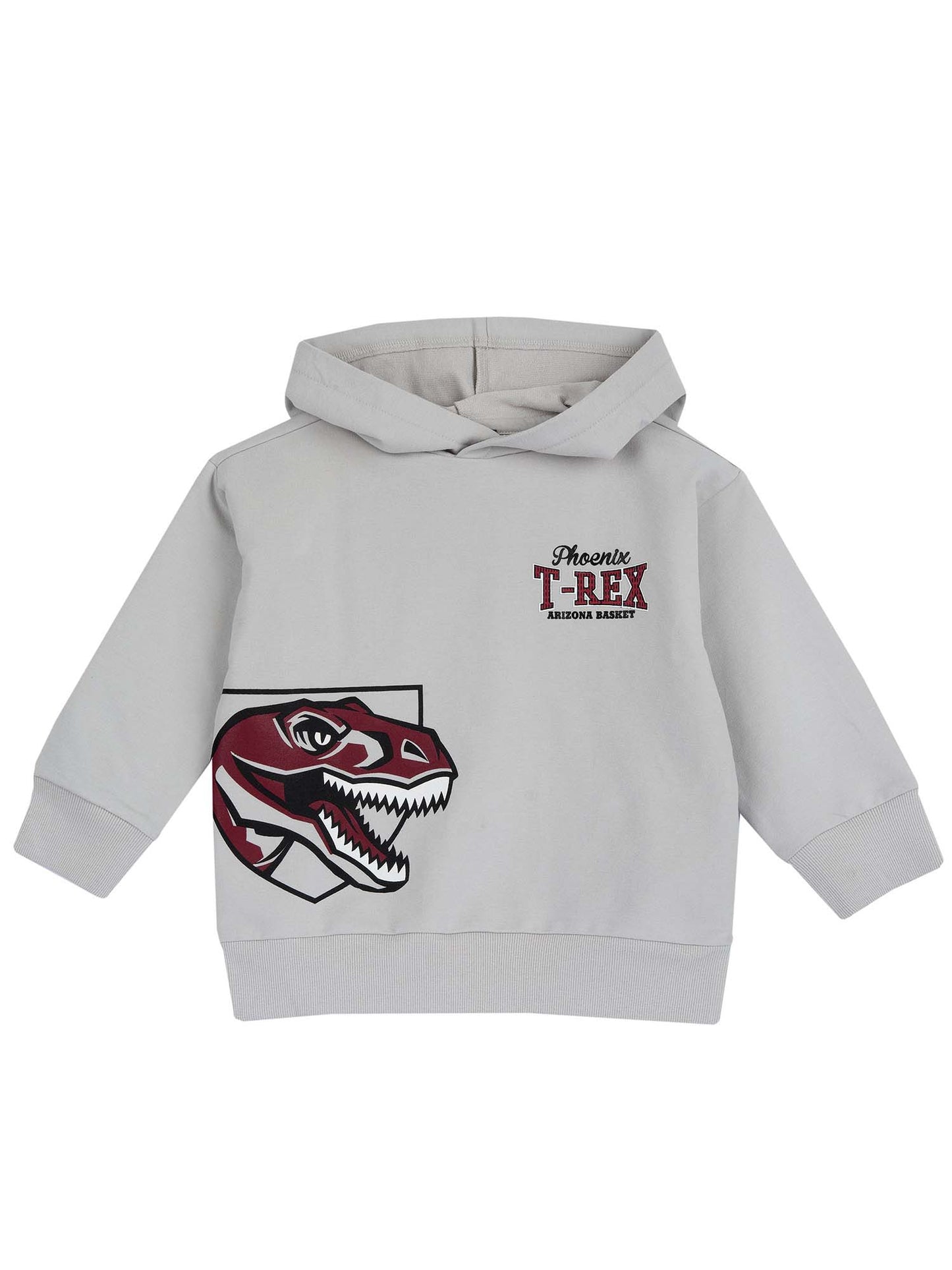 FELPA CON CAPPUCCIO TEMA DINOSAURO CHICCO BAMBINO GRIGIO