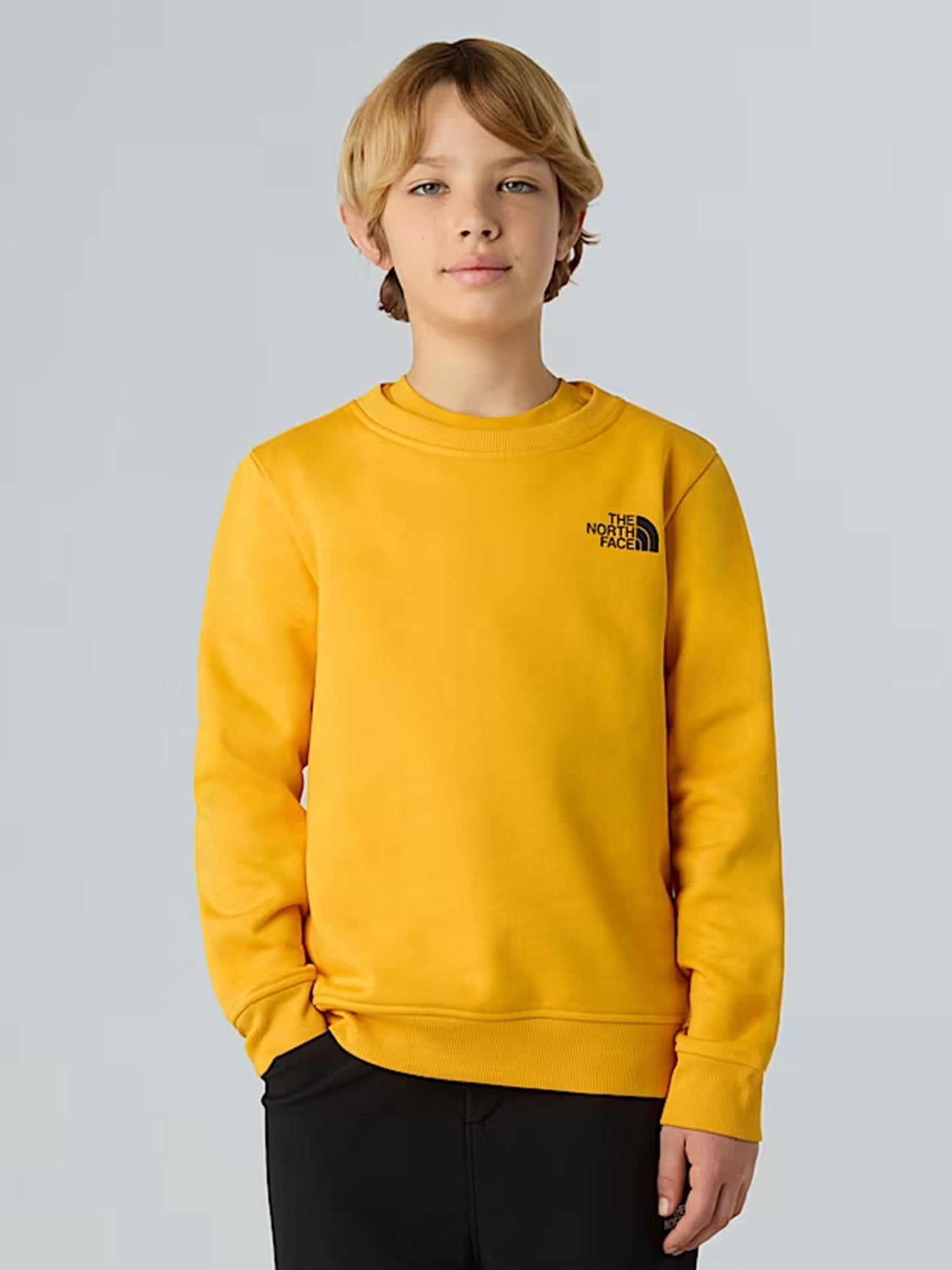 TNF B/G BOX NSE CREW