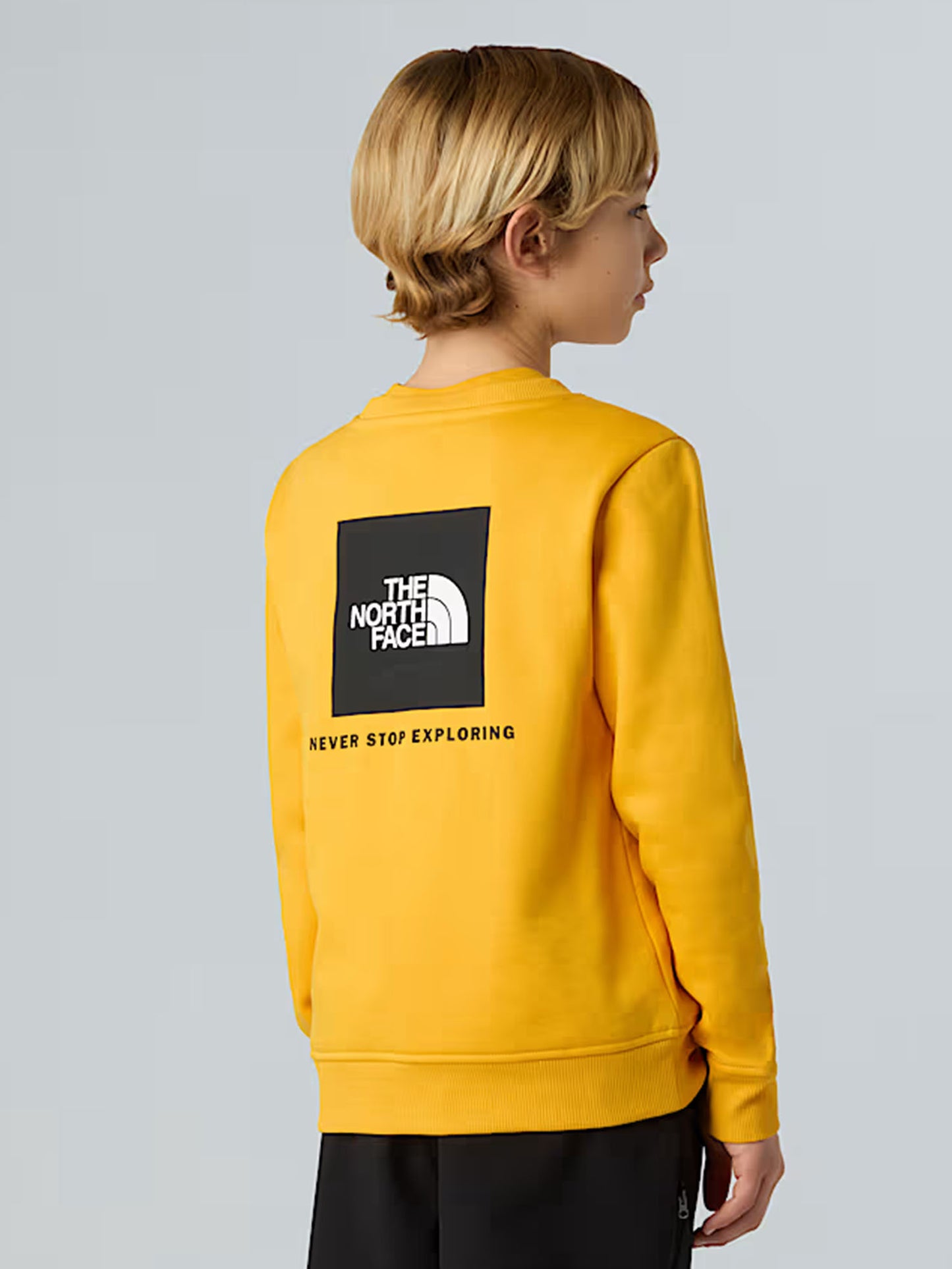 TNF B/G BOX NSE CREW
