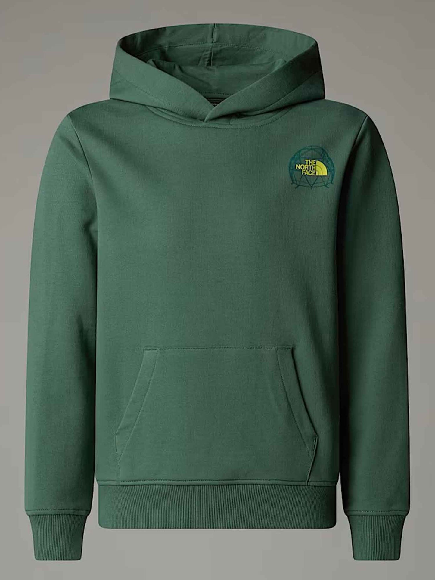 FELPA CON CAPPUCCIO GRAPHIC RELAX THE NORTH FACE BAMBINO VERDE
