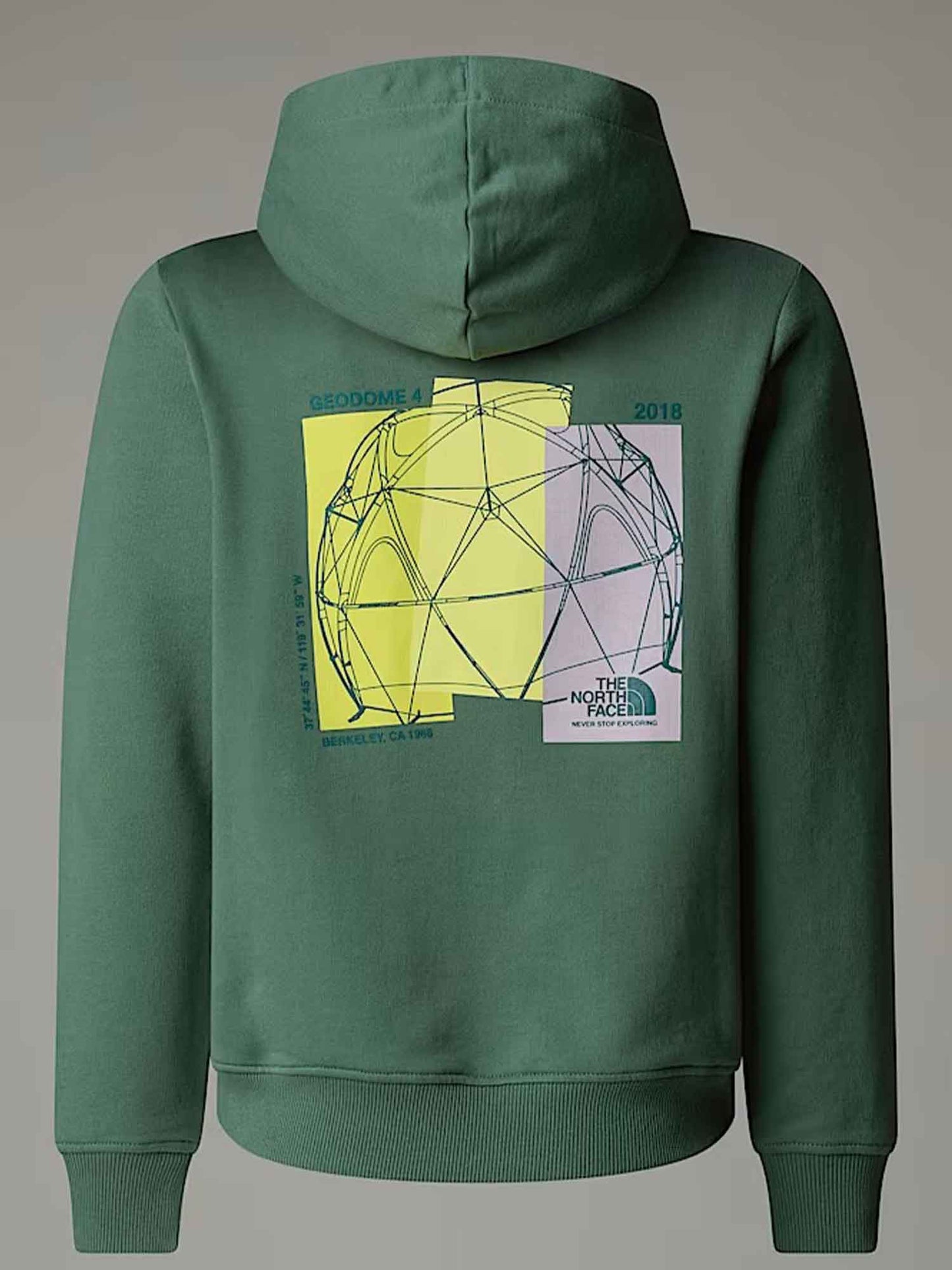 FELPA CON CAPPUCCIO GRAPHIC RELAX THE NORTH FACE BAMBINO VERDE