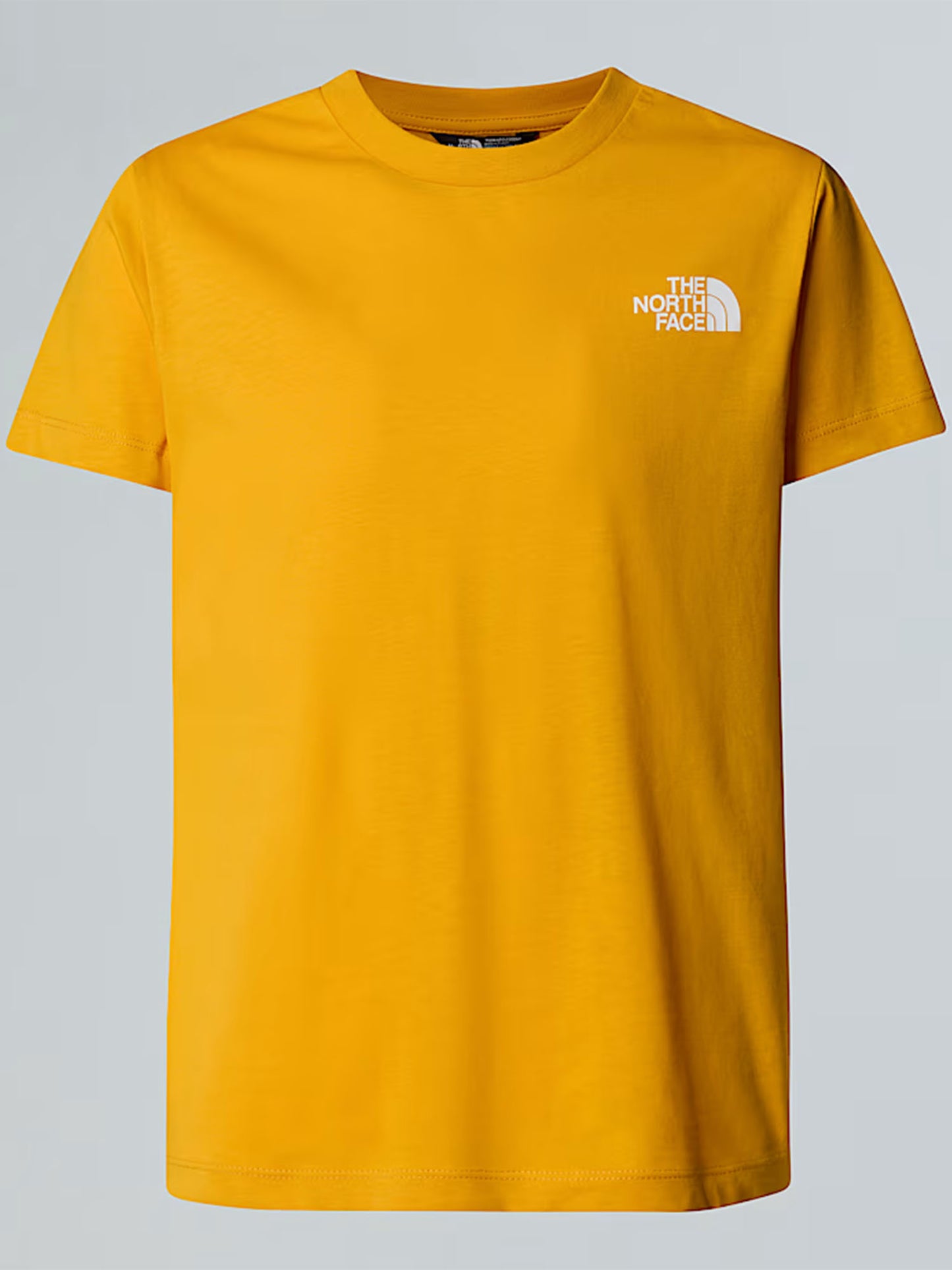 TNF B/G BOX NSE SS