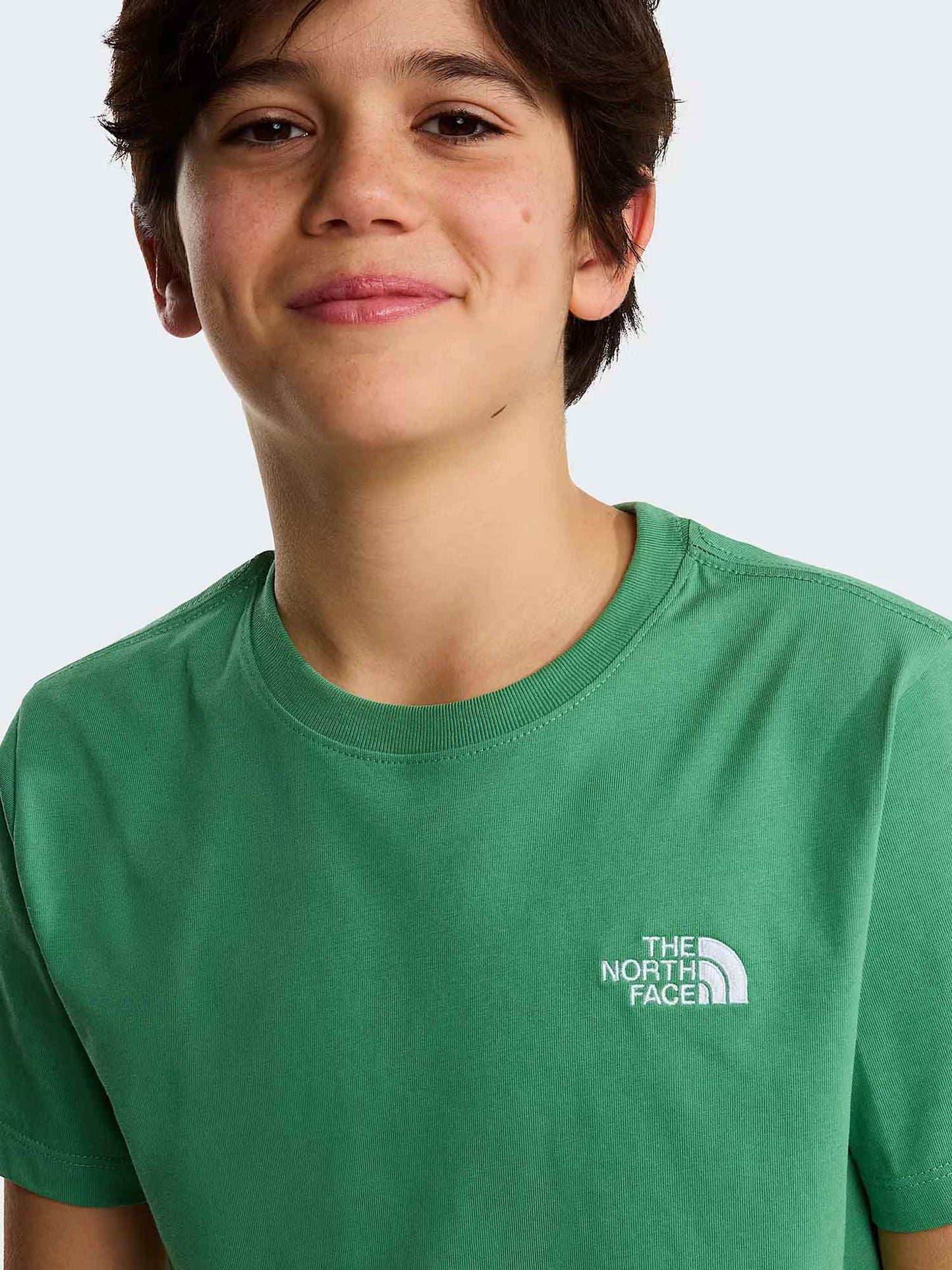 The North Face Tnf Evolution Simple, t-shirt Unisex bambino verde