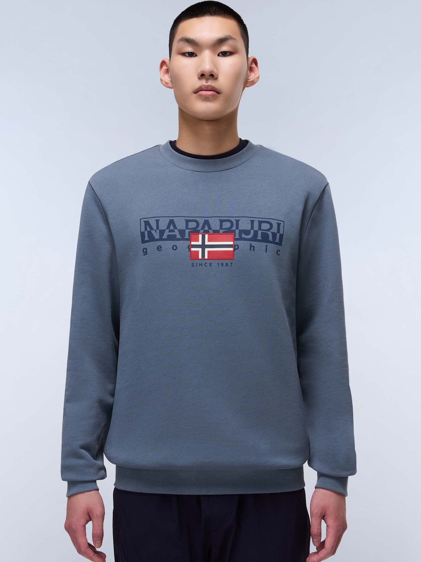 FELPA AYLMER NAPAPIJRI UOMO GRIGIO