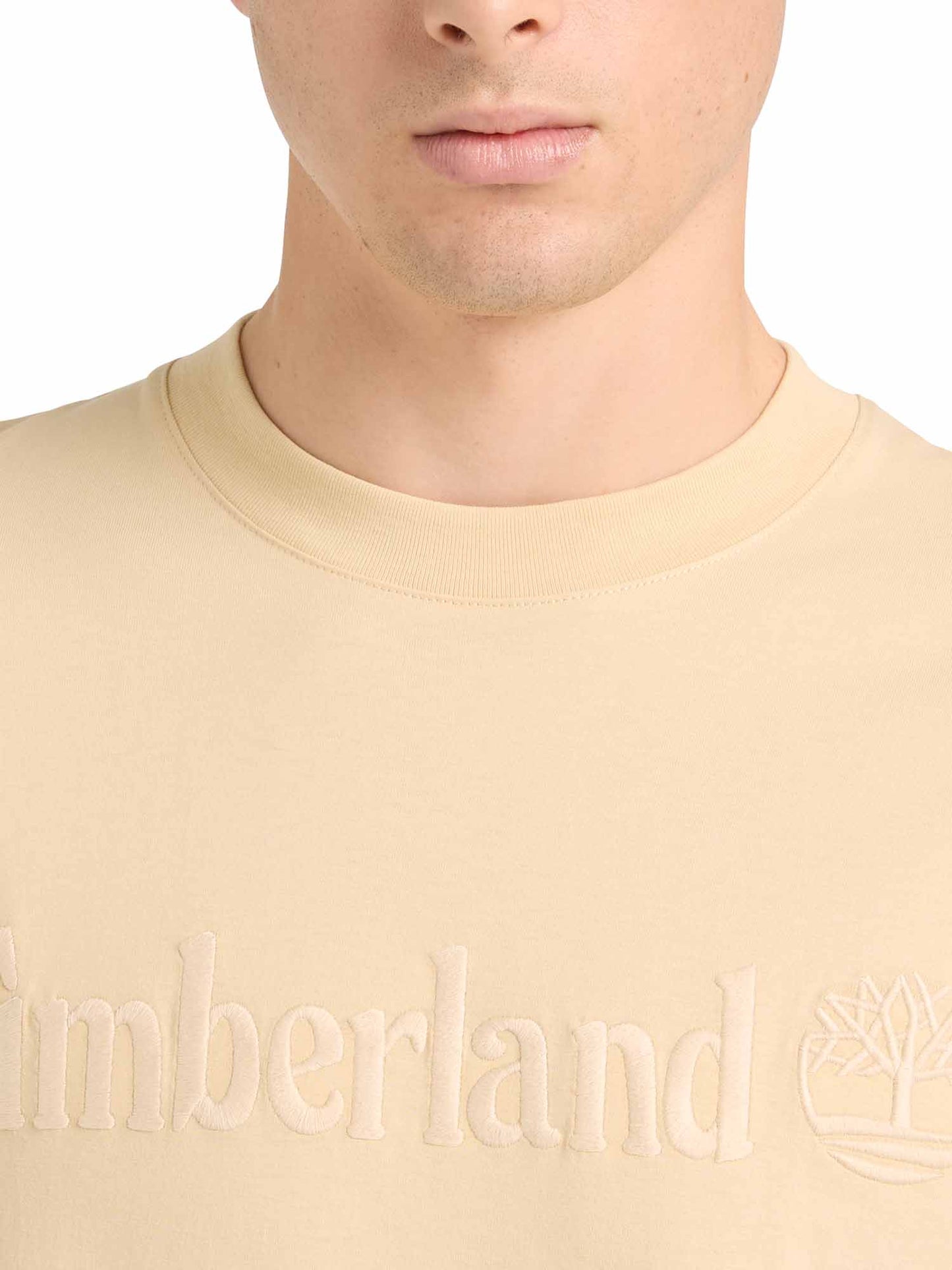 Timberland Hampton, t-shirt casual a maniche corte da uomo grigia