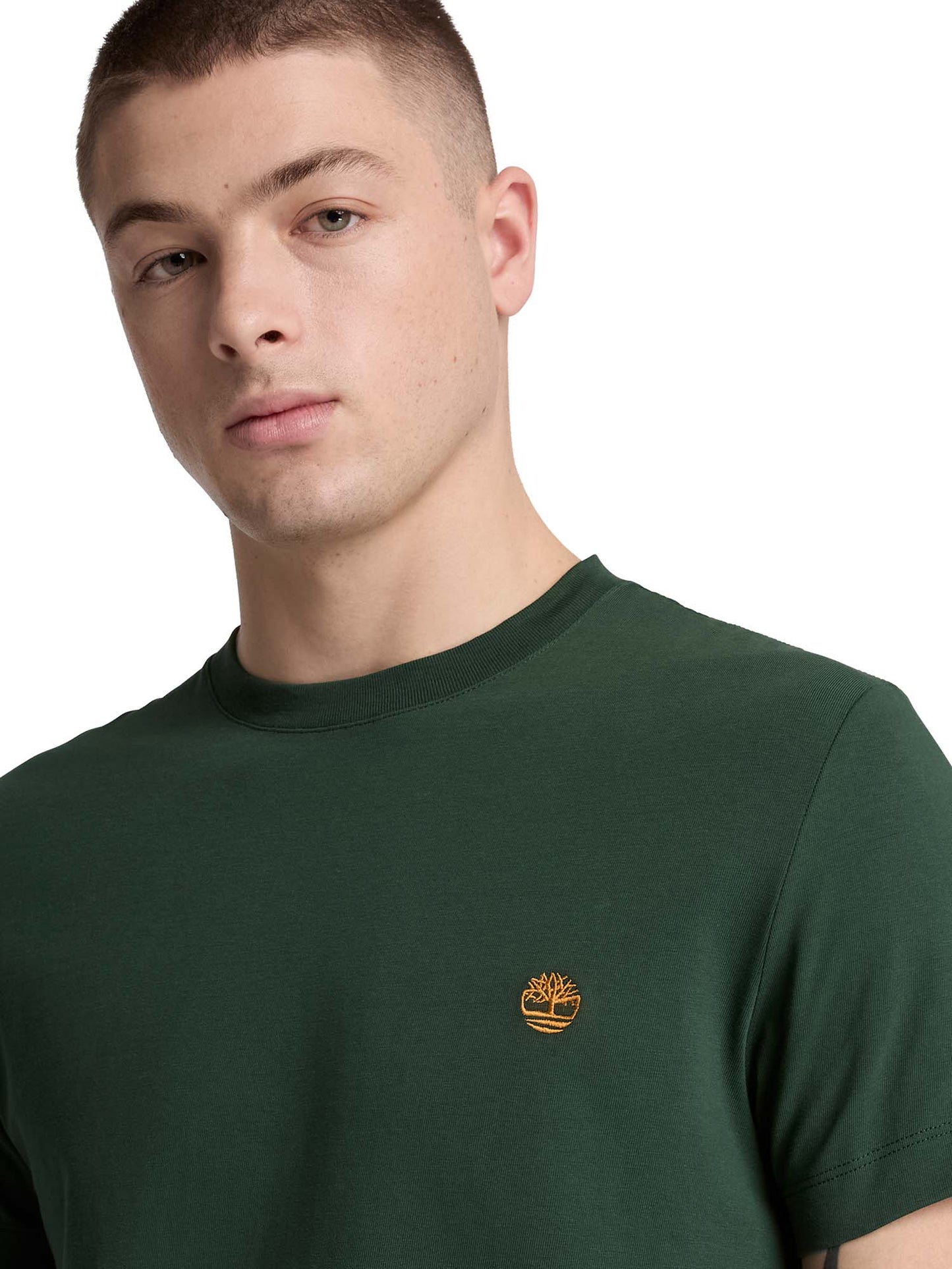 Timberland Dunstan R, t-shirt maniche corte da uomo verde