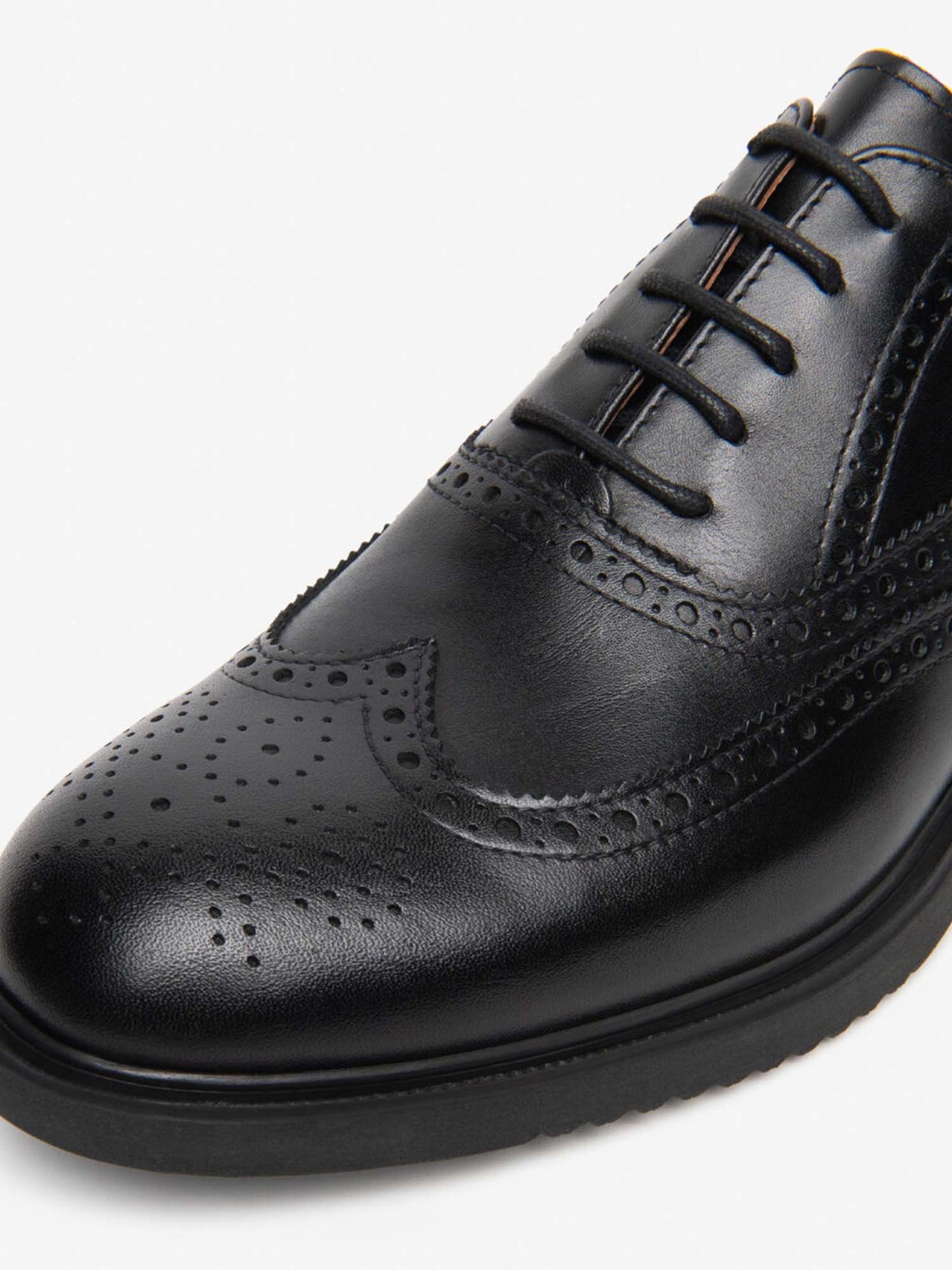 Nero Giardini I6 01260 U 100, stringate da uomo nere