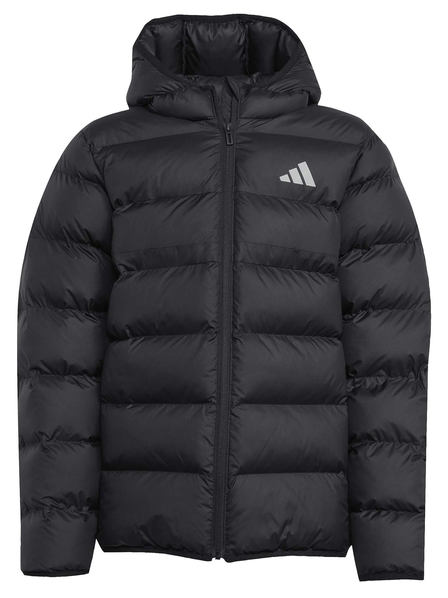 ADIDAS B. GIUBBINO