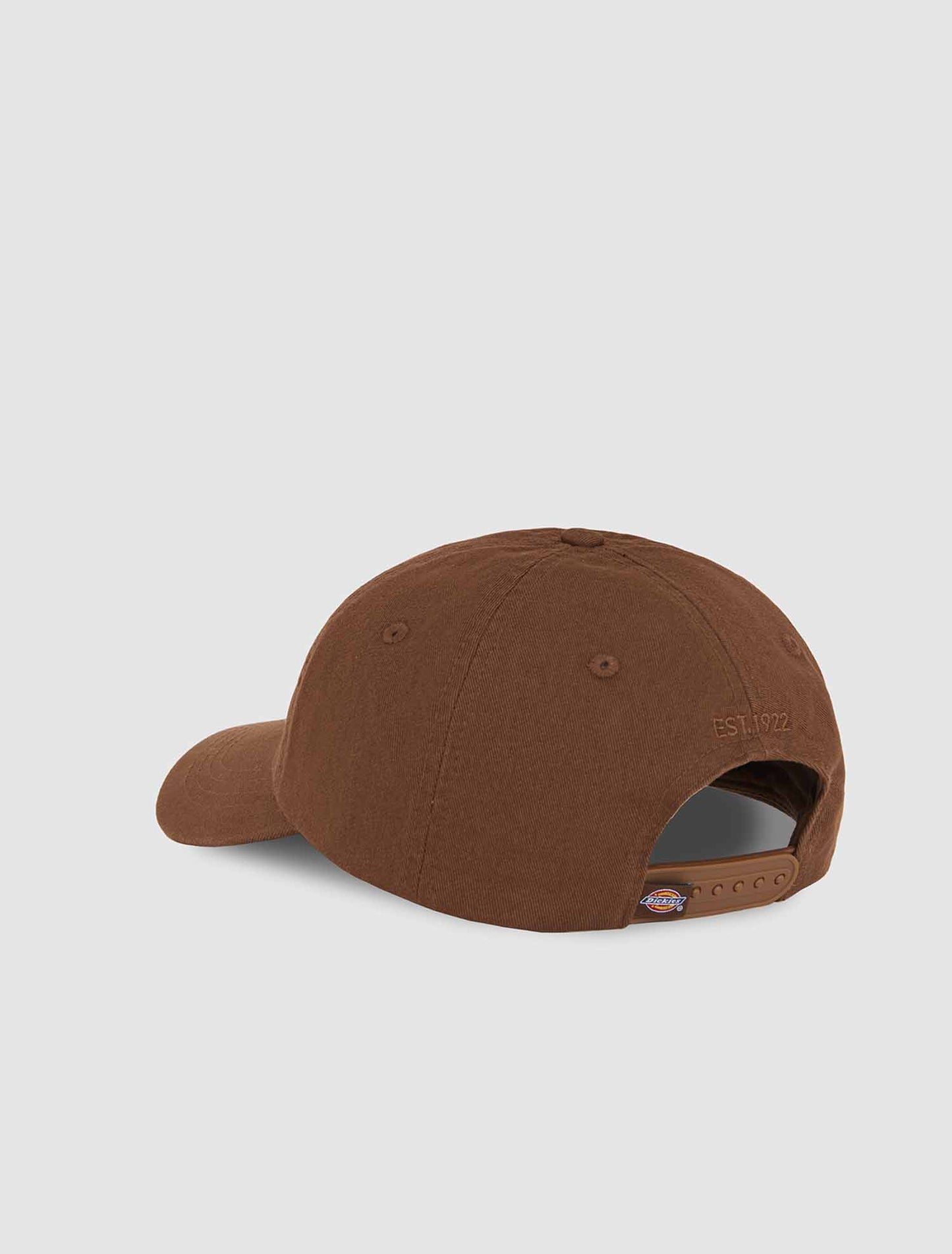 Dickies Hardwick, cappello baseball unisex adulto beige