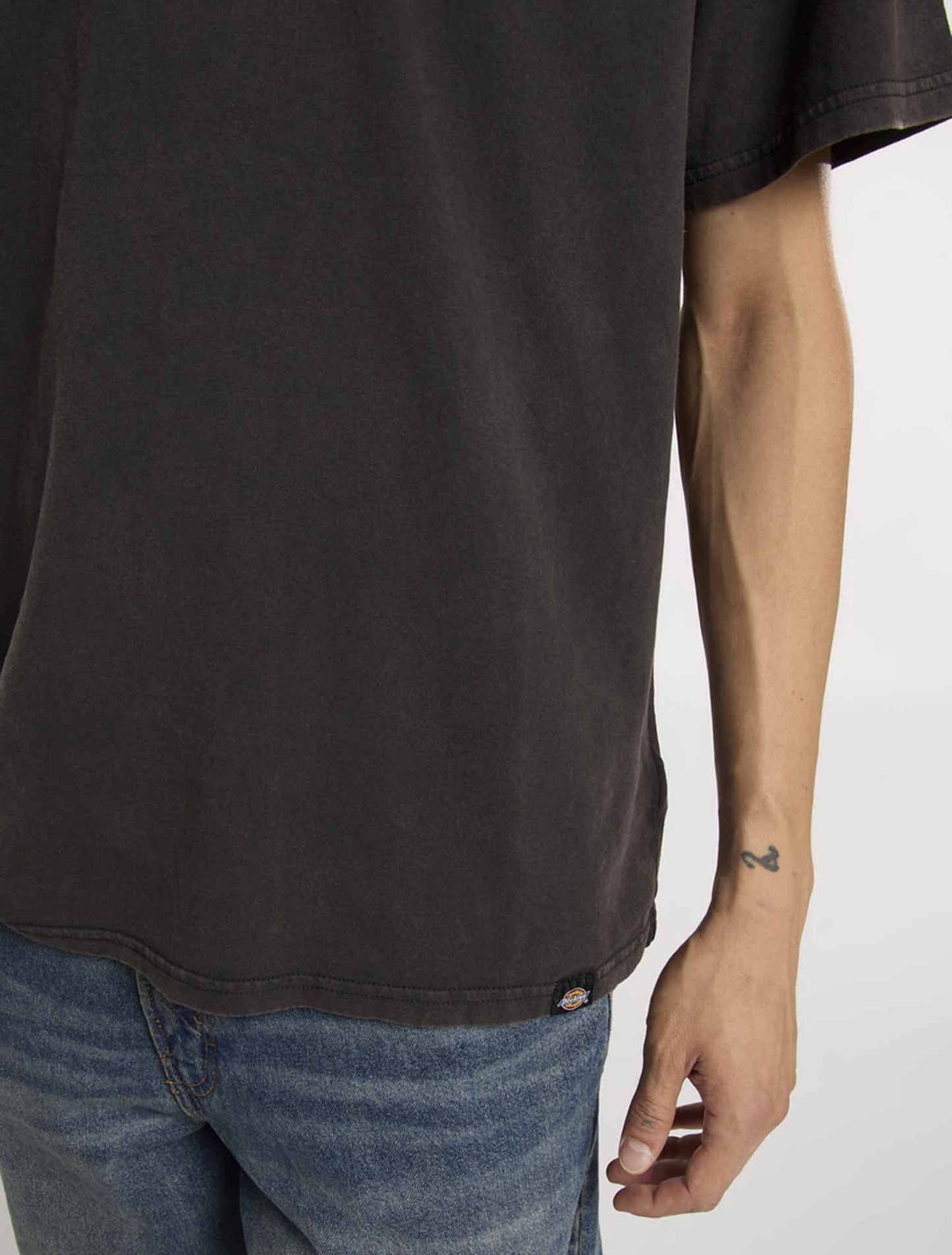 T-shirt Plentywood di Dickies uomo in nero