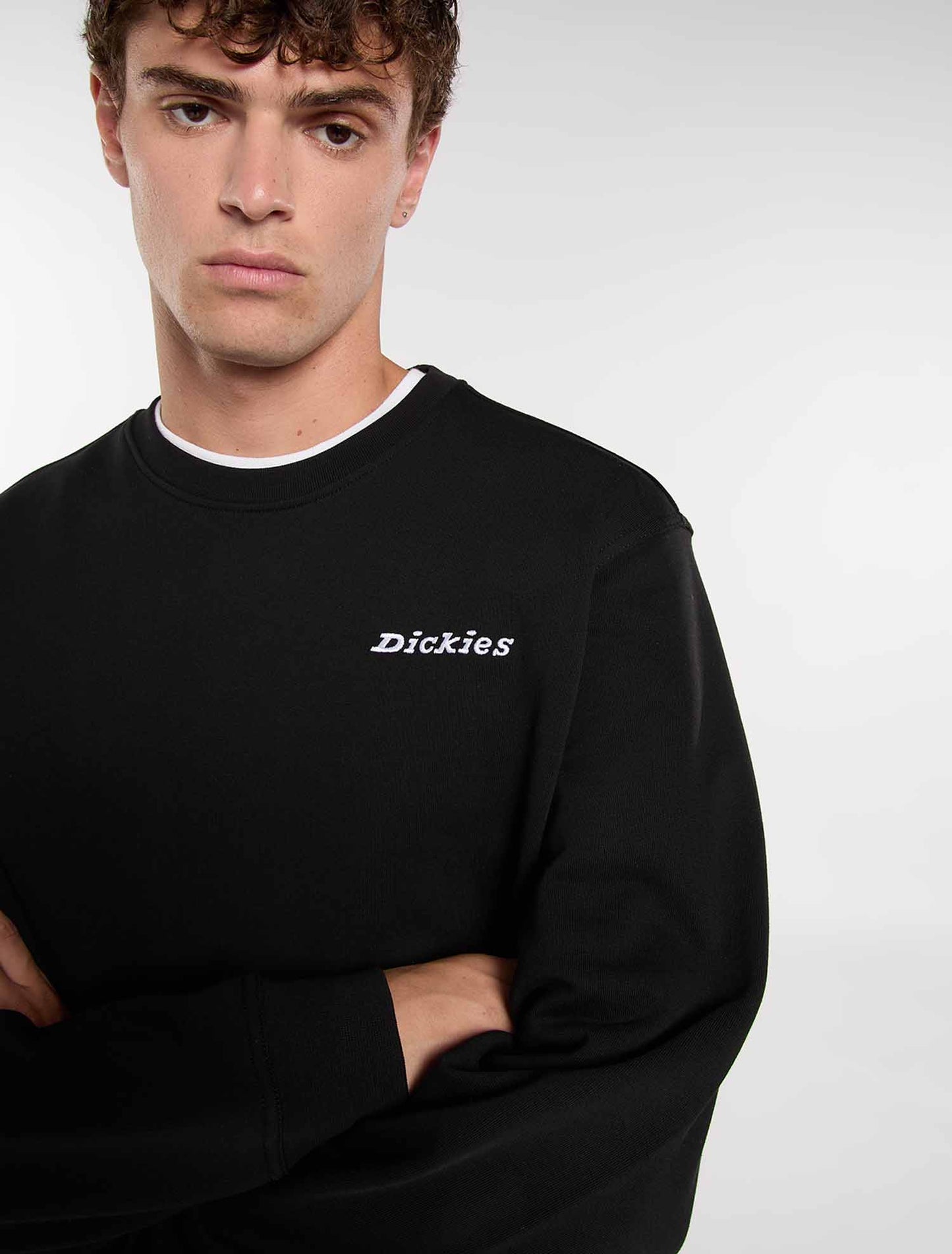 Felpa Dickies Loretto nera uomo per tutti i giorni