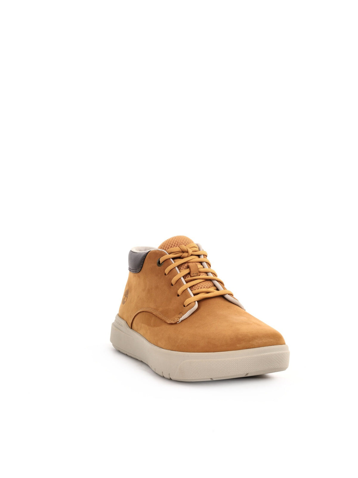 Timberland senecabay sneakers da uomo ocra