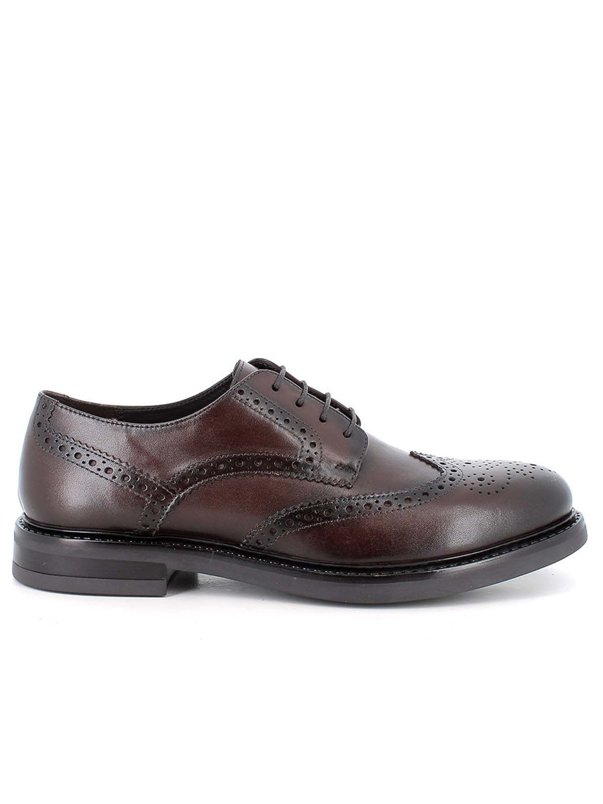 Igi&co dylan stringata da uomo marrone
