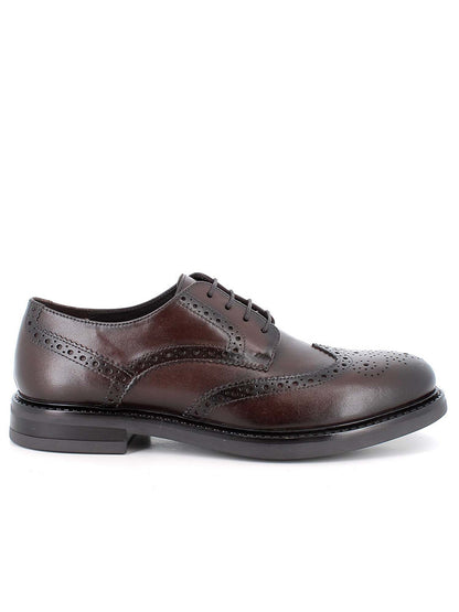 Igi&co dylan stringata da uomo marrone