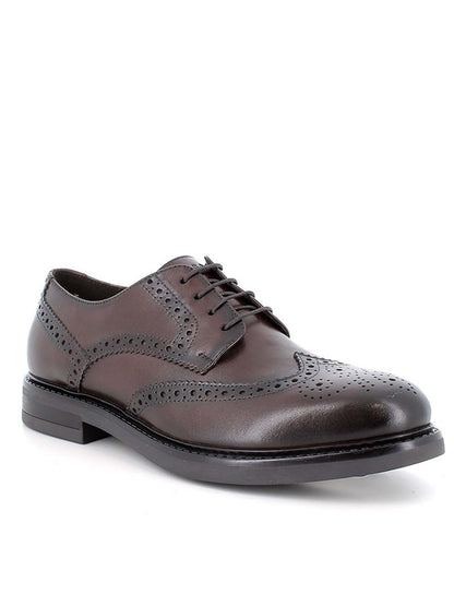 Igi&co dylan stringata da uomo marrone