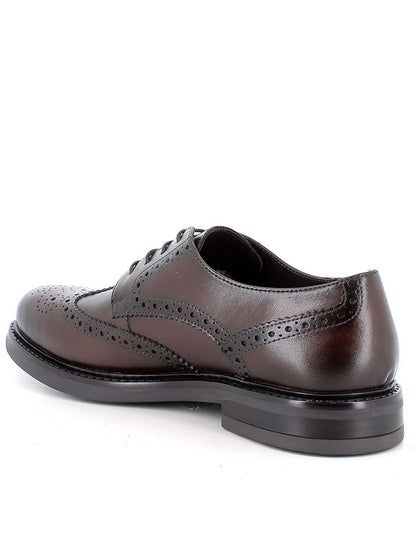 Igi&co dylan stringata da uomo marrone