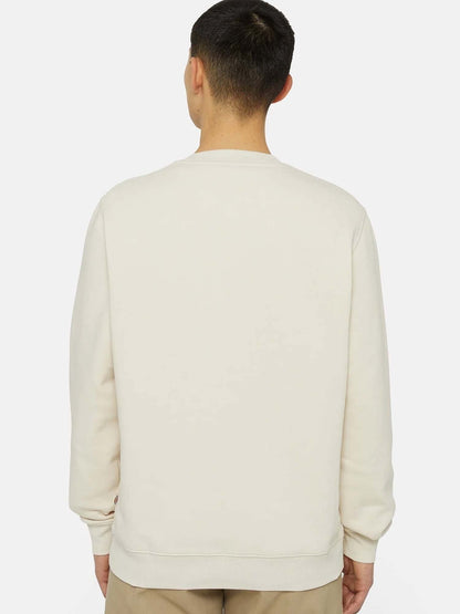 Dickies oakport crew felpa da uomo panna