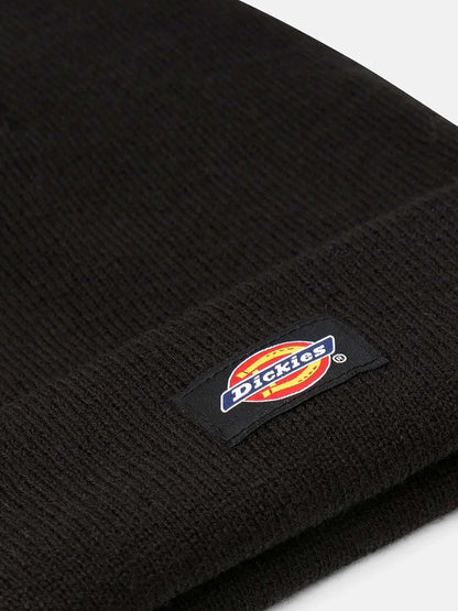 Dickies gibsland cappello da unisex nero
