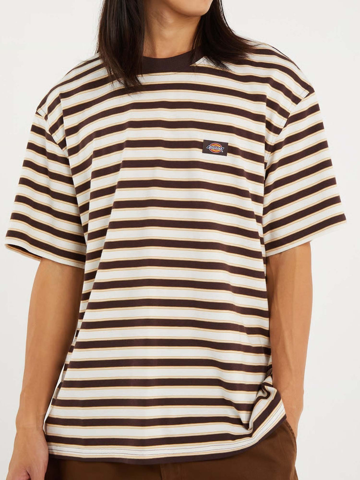 Dickies stripe tee t-shirt da uomo marrone