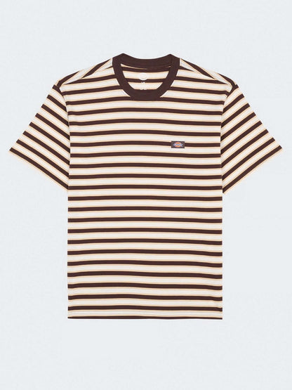 Dickies stripe tee t-shirt da uomo marrone