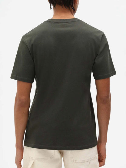 Dickies mapleton tee t-shirt da uomo verde militare