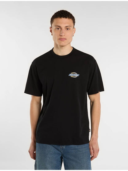 Dickies paradise t-shirt da uomo nero
