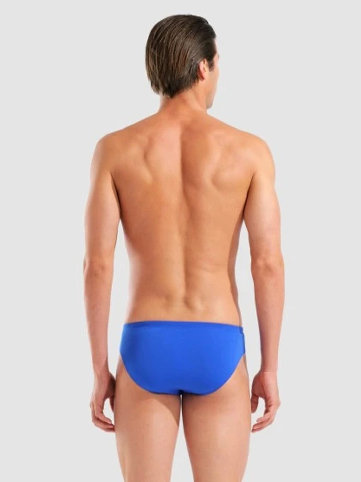 Arena costume slip da uomo royal