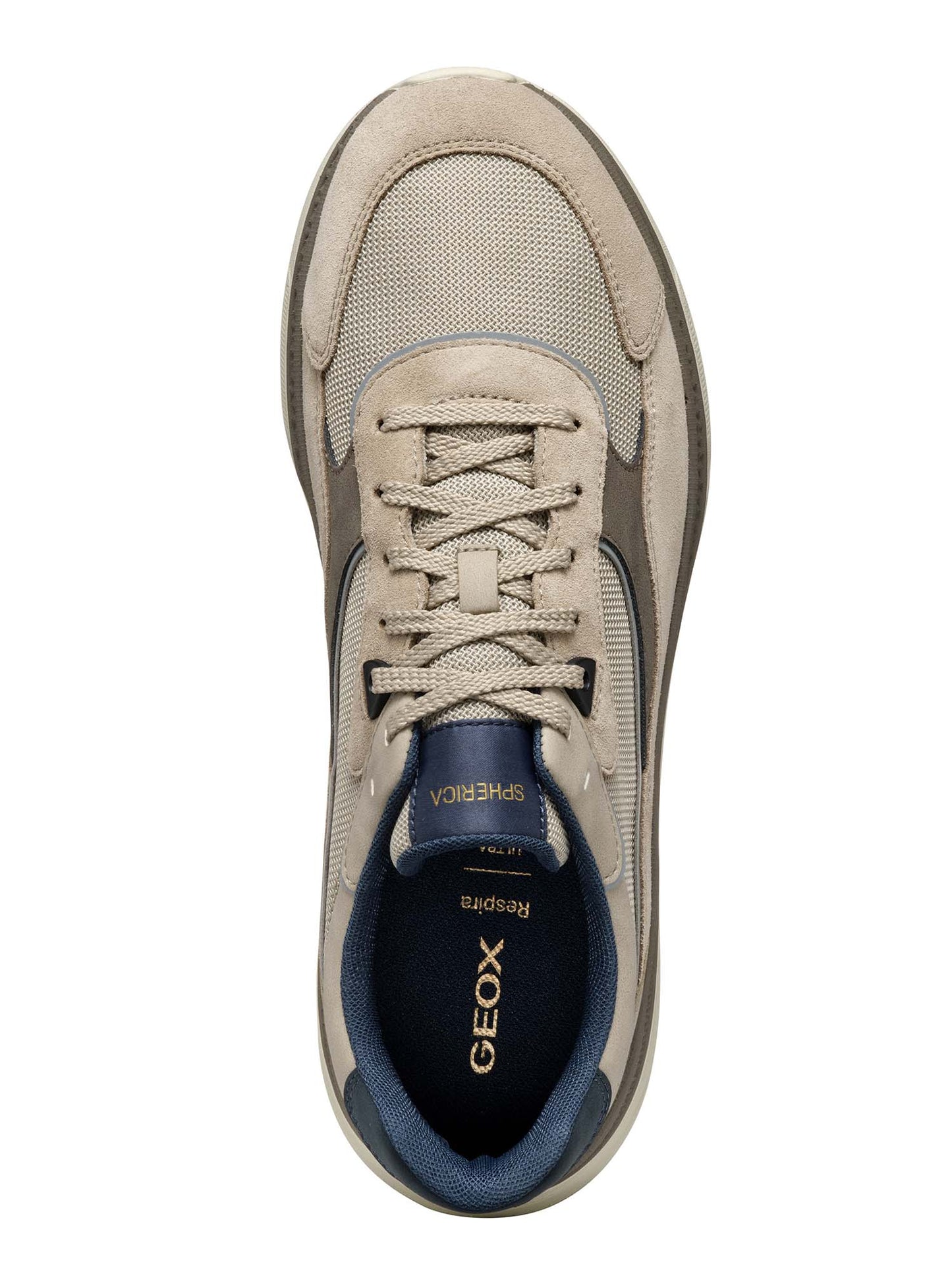 SNEKEARS SPHERICA ACTIF GEOX UOMO SAND