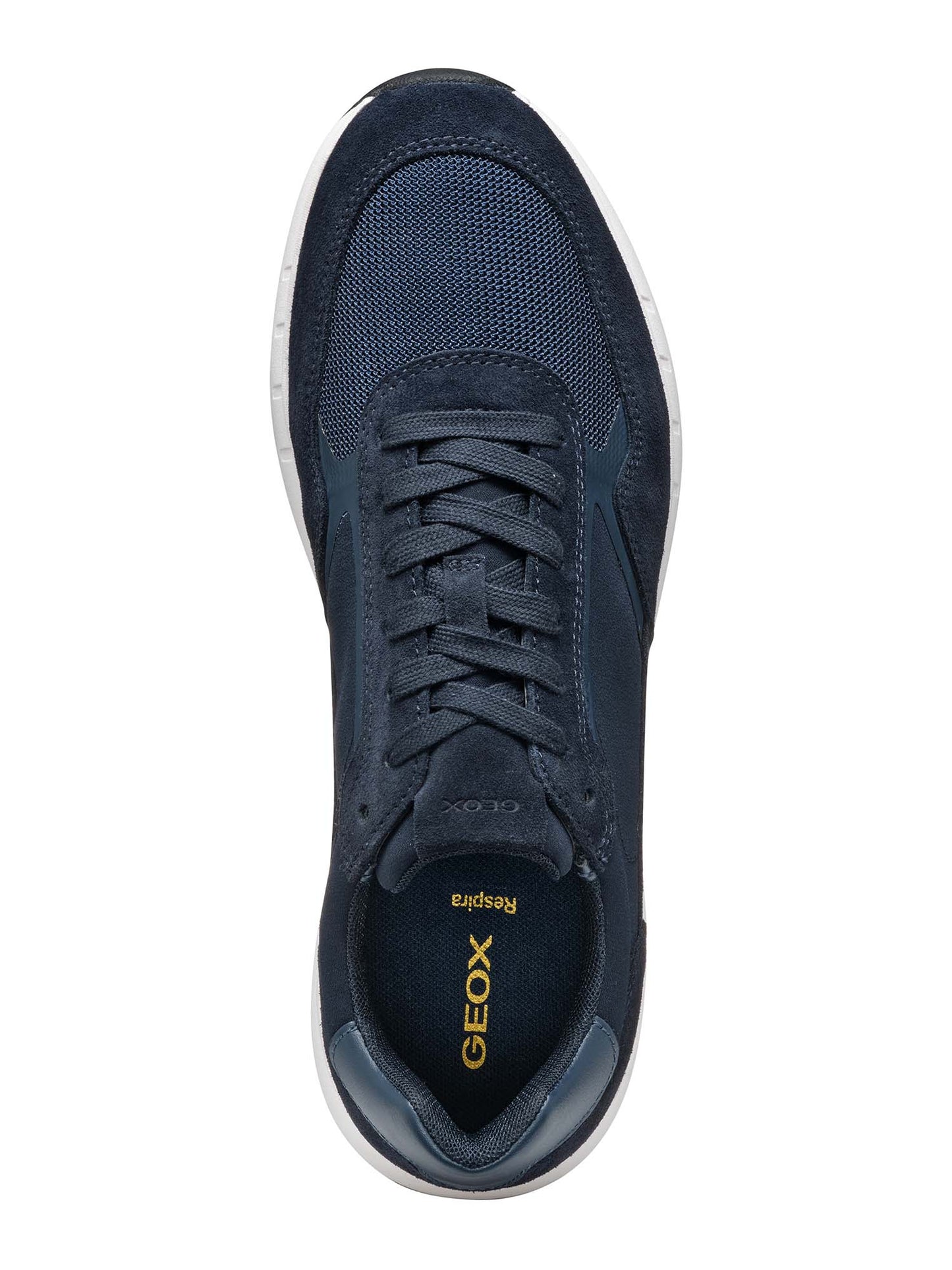 SNEAKERS BRANTHON GEOX UOMO BLU