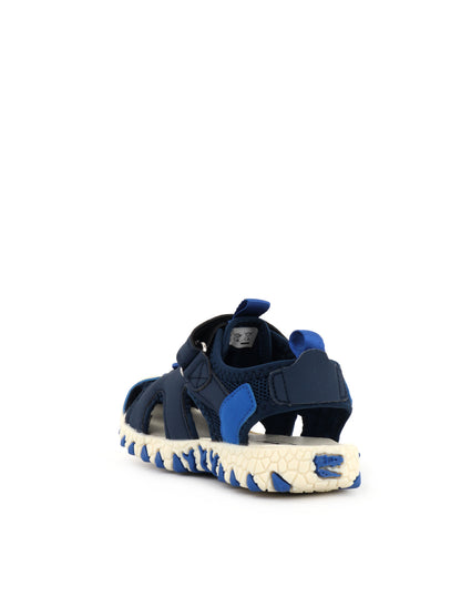 BULL BOYS PTERODATTI - BLU