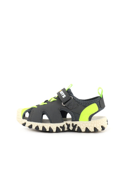 BULL BOYS PTERODATTI - GRIGIO