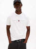 tommy-h-reg-flag-3