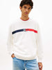 felpa-unisex-adulto-tommy-jeans-tjm-reg-sign-stripe-in-altri-colori