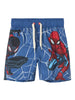 name-it-spider-royal-1