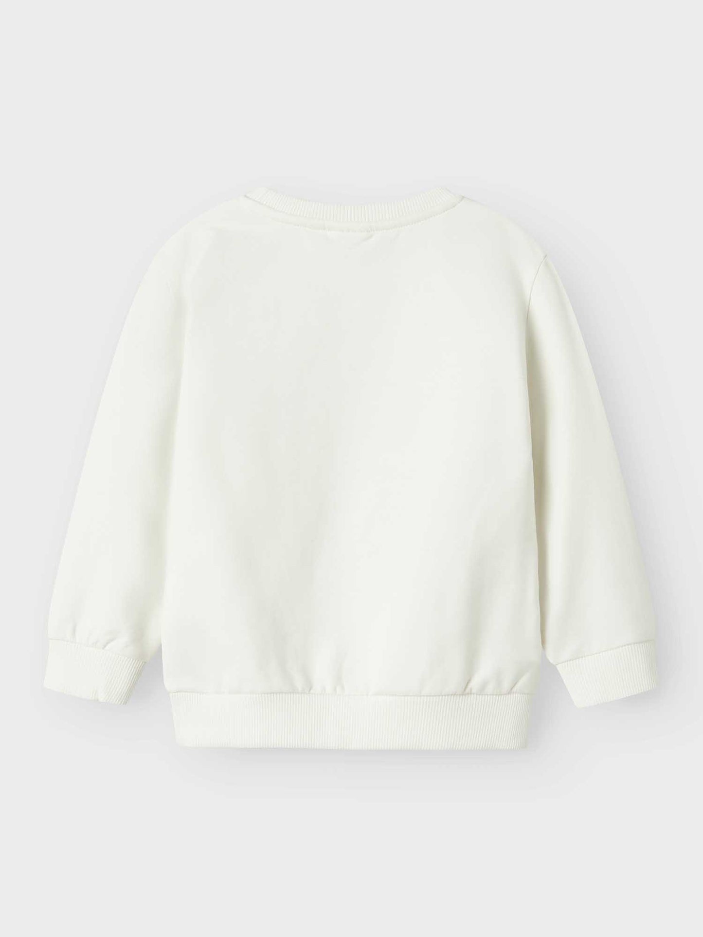 FELPA CON RICAMO NOTUS NAME IT DA BAMBINO PANNA