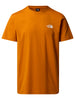 tnf-s-s-simple-dome-3