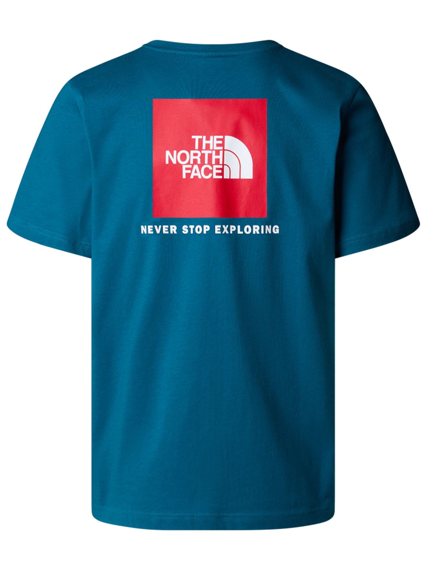 T-SHIRT NSE BOX THE NORTH FACE DA UOMO AVIO