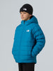 tnf-b-perrito
