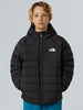 tnf-b-perrito-1