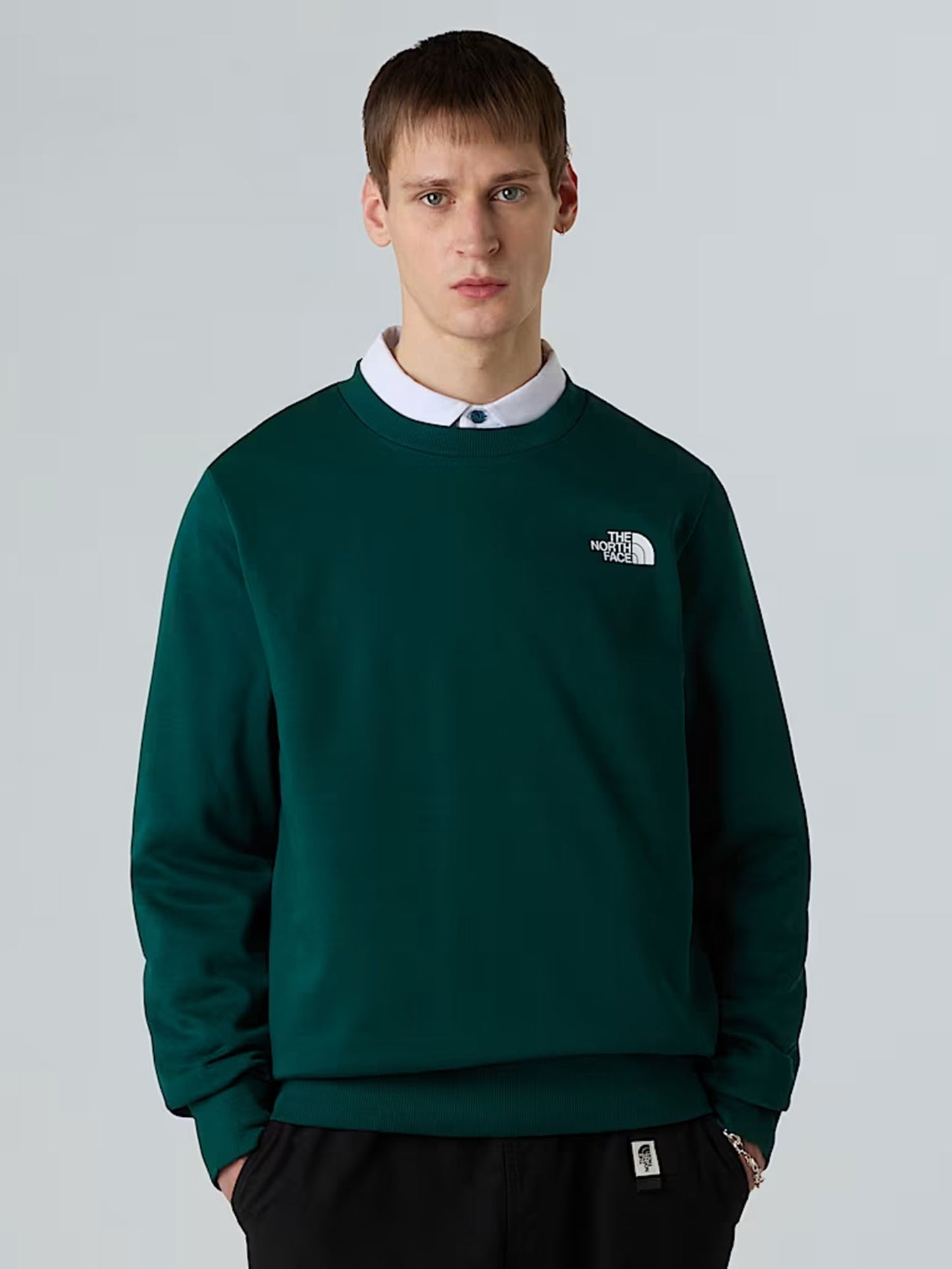 FELPA SIMPLE DOME CREW THE NORTH FACE DA UOMO VERDE