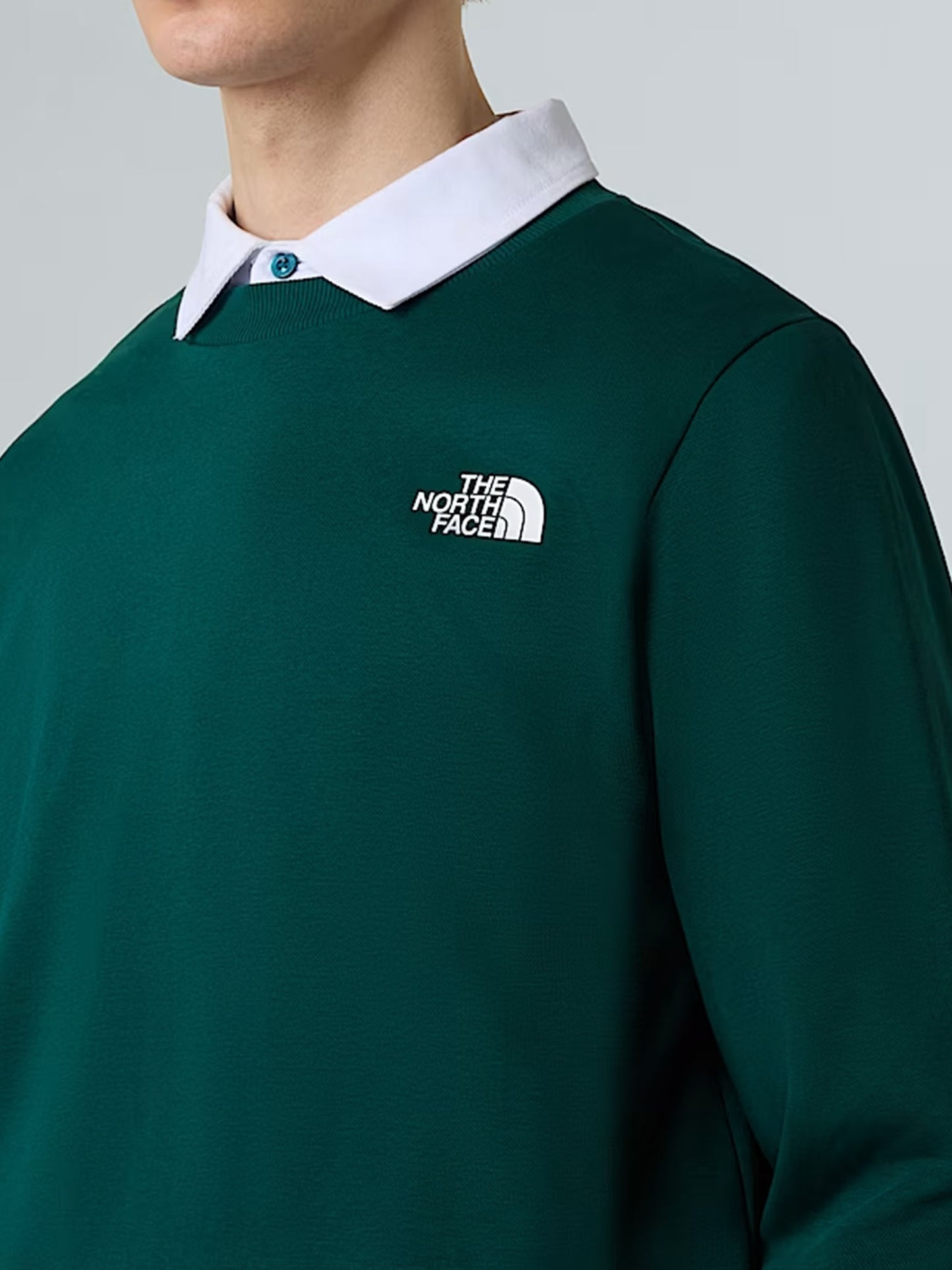 FELPA SIMPLE DOME CREW THE NORTH FACE DA UOMO VERDE