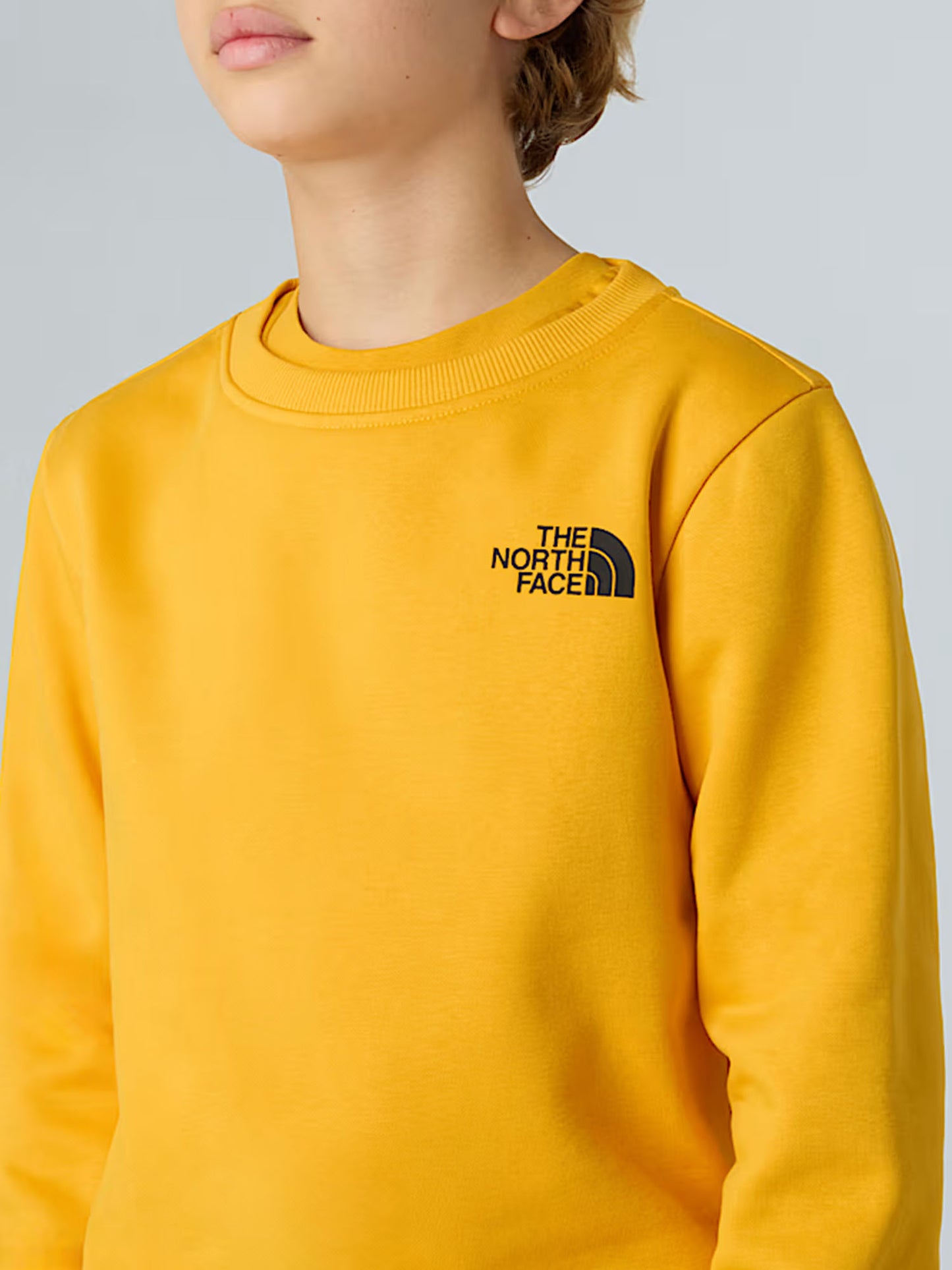 TNF B/G BOX NSE CREW