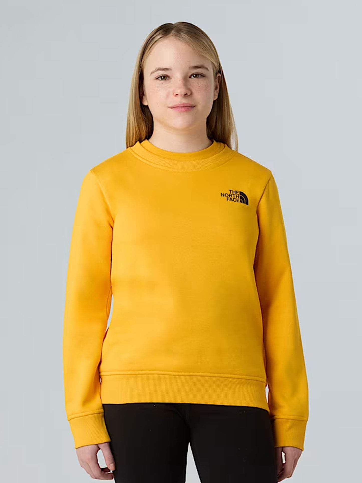 TNF B/G BOX NSE CREW
